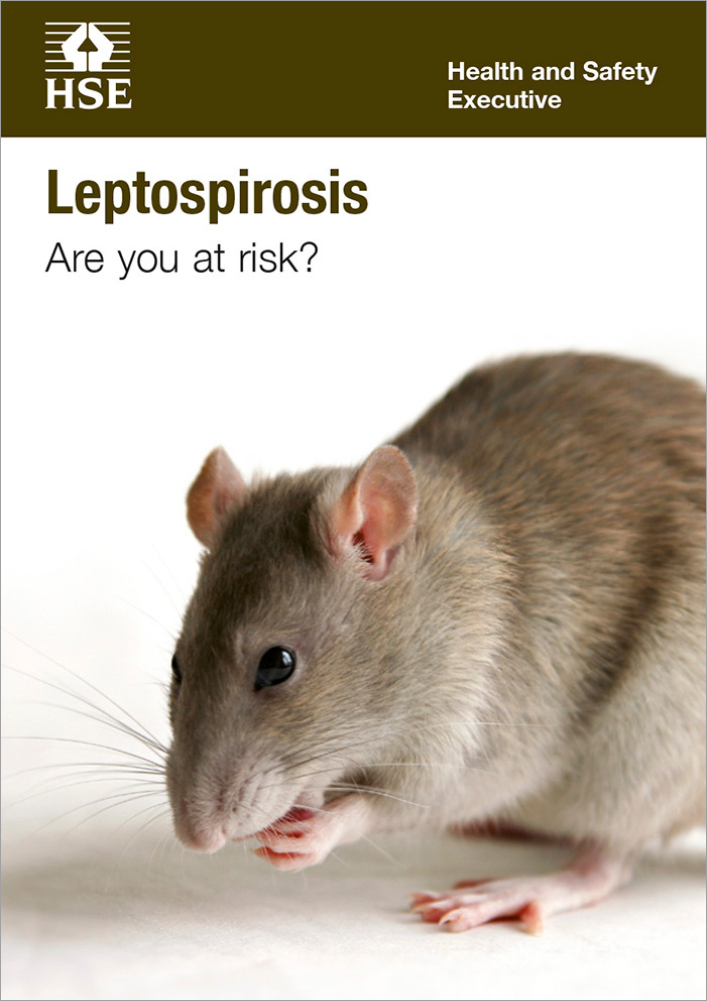 Leptospirosis: are you at risk? (pocket cards, 15 pack), INDG84